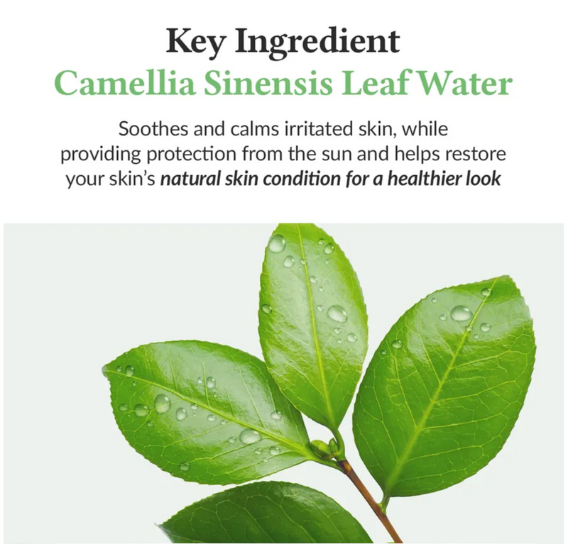 Dr. Althea Green Tea Fresh Sunscreen SPF50+ PA++++