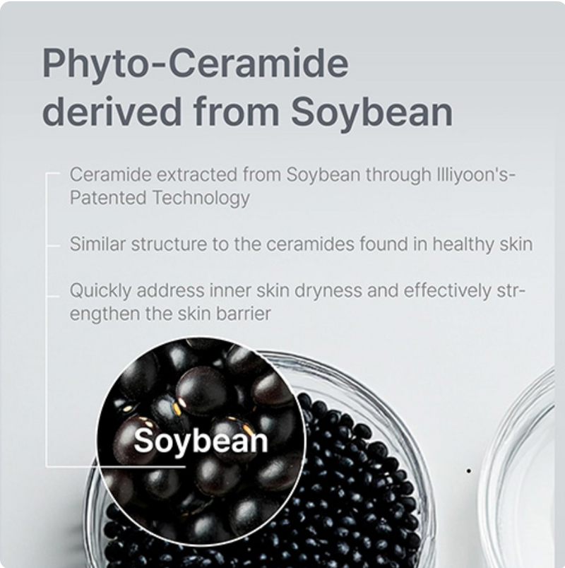 ILLIYOON Ceramide Ato Concentrate Cream | Ceramide Skin Complex™ | 230 ml