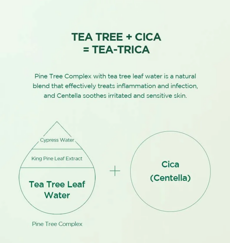 SKIN1004 Madagascar Centella Tea-Trica BHA Foam (125ml)